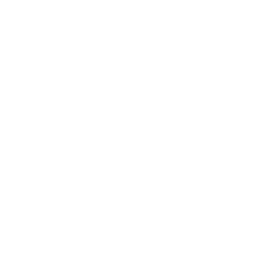 ICON direct deposit WHITE